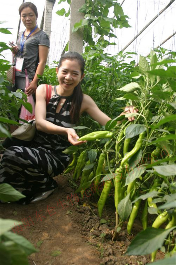 ���Ї��L(f��ng)Մ�������˳̽ܵ�ɽ�|�۹�Ĺ�̼�˷��߲�ʾ�����ز��L(f��ng)