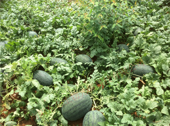 �V���M�h���ù�̼�˷ʷN��������һ������ʮ���ϣ���(chu��ng  )����147��߮a(ch��n)��