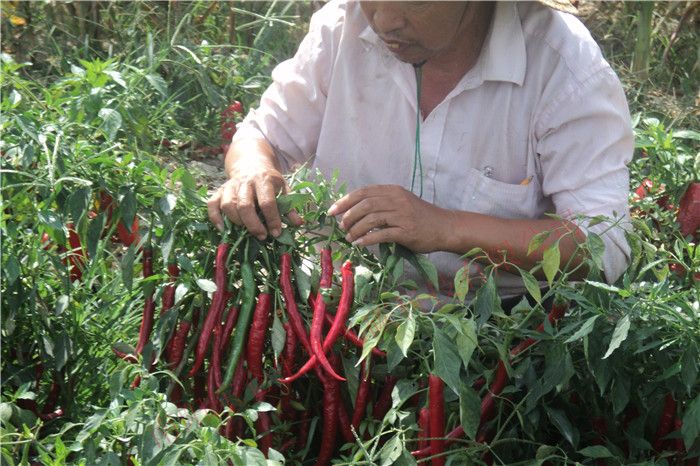 ����������ʩ��̼�˷ʸ߮a(ch��n)