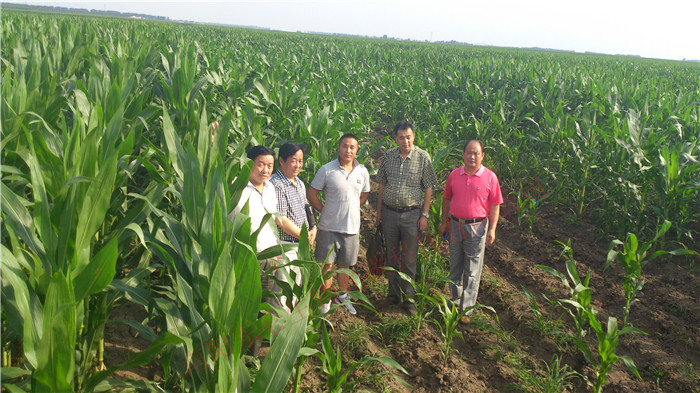 ������ʡ�����I�н��^�r�I(y��)���g(sh��)�ƏV���Ĺ�̼���׿��л���������ʾ����(sh��)�Ĺ�̼���ף����ѽ�(j��ng)��ʩ��̼�˷�3�μs1000���������L(ch��ng)��ͦ�����R����ϵ�l(f��)�_���߶ȳ��^(gu��)������������֮һ����(zhu��n)���A�a(ch��n)����(sh��)���ع�̼�������a(ch��n)