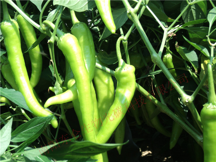 ���(y��ng)�з��ǿh�w����R�f���Π����Ƥ�������Ʒ�|(zh��)�����a(ch��n)����